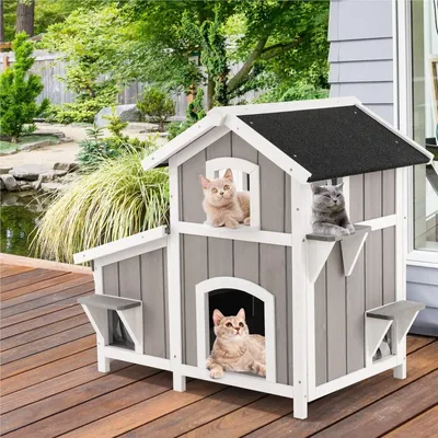 Immagine prodotto di Cuccia per gatti - Casetta per gatti - Villa per gatti - Alloggio per animali domestici - Cuccia per gatti - Set da 2 con tetto in asfalto
