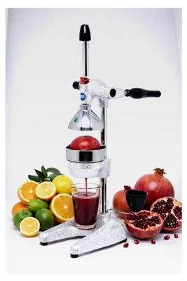 Produktbild von Professionelle Hand-Saftpresse für Zitrusfrüchte, Orangen und Granatäpfel, Farbe Silber