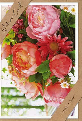 Produktbild von Ohne Text – Nature Cards – unverpackt - Glückwunschkarte im