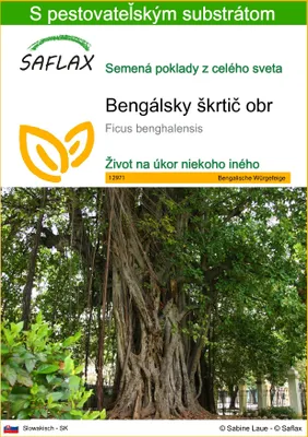 Obrázok produktu pre SAFLAX - Bengálsky škrtič obr - Ficus benghalensis - 20 Semená - S pestovateľským substrátom bez klíčkov