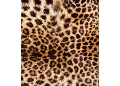 Obrázok produktu pre Dimex Fototapeta MS-5-0158 Drevený obklad 375 x 250 cm