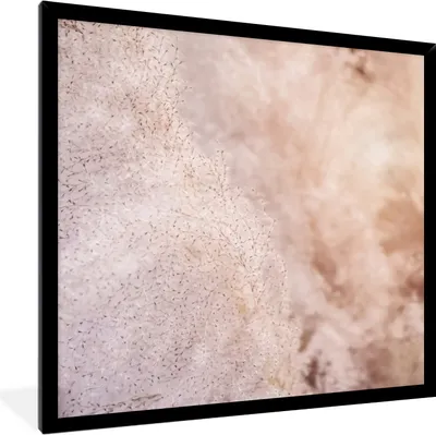 Produktbild von MuchoWow® Gerahmtes Poster Pampasgras - Struktur - Pflanzen - Natur 40x40 cm - Poster mit Schwarzem Bilderrahmen Wandposter Rahmen Foto Bilder - Mit Rahmen - Wanddekoration Schlafzimmer