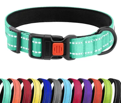 Productafbeelding van Reflecterend hondenhalsband van nylon voor kleine, middelgrote en grote honden