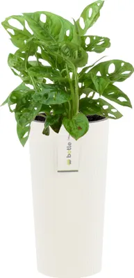 Obrázek produktu pro Kulatý květináč Ø 25 cm H 48 cm Bílý elegantní vysoký pruh