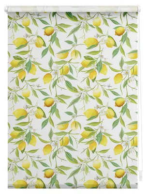 Produktbild von Lichtblick Rollo Klemmfix, ohne Bohren, blickdicht, Limone - Gelb Grün 45 cm x 150 cm (B x L)