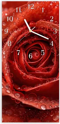 Produktbild von Wanduhr aus Glas mit Motiv Wassertropfen Rose- 30 x 60 cm - inkl. Aufhängesystem