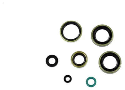 Immagine prodotto di Kit paraolio motore ATHENA P400250400221 per Kawasaki