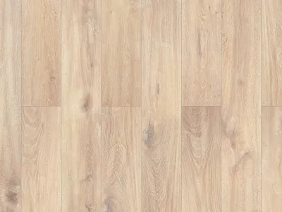 Produktbild von BASICfloor | 1,996 m² | Beige Eiche Gekalkt 8mm Laminat Landhausdiele, Rustikale Eichenholz Maserung, Klickverbindung Megaloc, Strapazierfähige Dreischicht Optik, Für Leichte Gewerbliche Nutzung