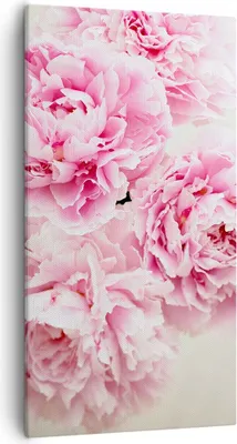 Produktbild von Bild auf Leinwand - Leinwandbild - Einteilig - Pfingstrosen Blumenstrauß Blumen - 55x100cm - Wand Bild - Wanddeko - Wandbilder - Leinwanddruck - Bilder - Wanddekoration - Leinwand bilder PA55x100-4961