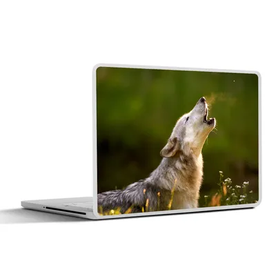 Produktbild von MuchoWow® Laptop Aufkleber Sticker Cover Wolf - Wald - Natur 30x21 cm - Sticker für Laptop - Selbstklebend