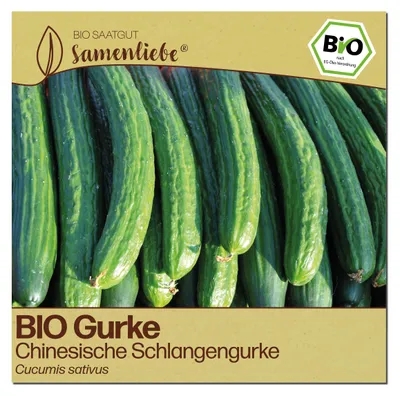 Produktbild von Samenliebe Gurke Samen | Chinesische Schlangengurke - sehr lange - samenfestes Saatgut