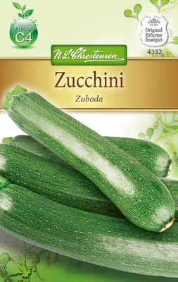 Produktbild von Zucchini Zuboda | Zucchinisamen von N.L. Chrestensen