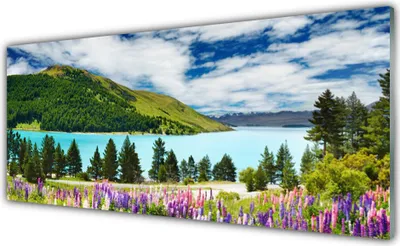 Produktbild von Acrylglasbilder 125x50 Wandbild Druck Gebirge Wald See Wiese Landschaft