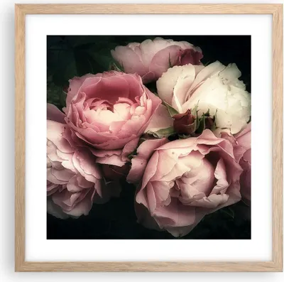 Produktbild von Gerahmtes Poster - Rahmen in heller Eiche - Pfingstrose Blume - 40x40 cm - Wand Bild - Wanddeko - Wandbilder - Wandposter - Bilderrahmen - Bilder - Kunstdruck - Wandbild - P2NAC40x40-3930