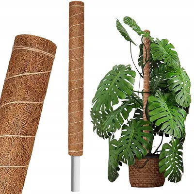 Produktbild von Kokosstab 150 cm x 40 mm x 25 mm