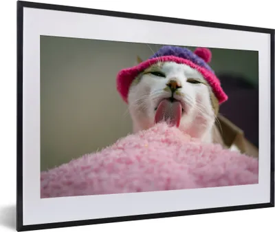Produktbild von MuchoWow® MuchoWow® Gerahmtes Poster Katze - Kissen - Mütze - Zunge 60x40 cm - Poster mit zchwarzem Bilderrahmen - Schlafzimmer - Plakat in Rahmen - Drucken