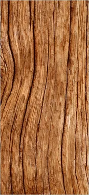 Produktbild von Türtapete Türposter Holzstamm - Größe: 93 x 205 cm