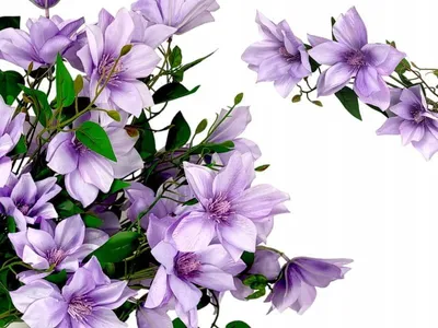 Produktbild von Griny Künstlicher Clematis Zweig Lila 70 cm