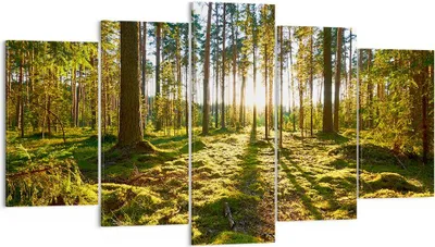 Produktbild von Bild auf Leinwand - Leinwandbild - Wald Baum Natur - 160x85cm - Wand Bild - Wanddeko - Wandbilder - Leinwanddruck - Bilder - Kunstdruck - Wanddekoration - Leinwand bilder - Wandkunst - EA160x85-3724