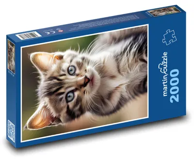 Produktbild von martinpuzzle - Puzzle 2000 Teile - Niedliches, schrubbiges Kätzchen