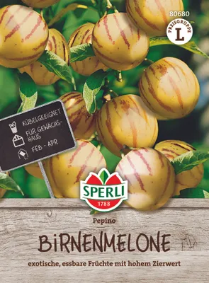 Produktbild von SPERLI Birnenmelonensamen Pepino Solanum muricatum 10 Pflanzen