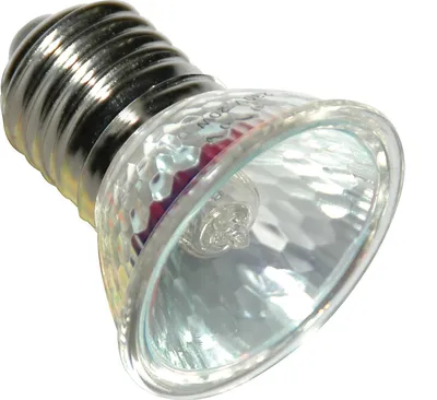 Produktbild von Lucky Reptile Halogen Sun Mini, 35 Watt