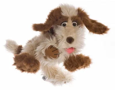 Obrázek produktu pro Living Puppets ruční hračka pes Tillmann, hnědo-bílý