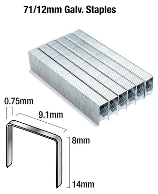 Image de Agrafes TACWISE 71/12 mm zinguées 20.000 pièces
