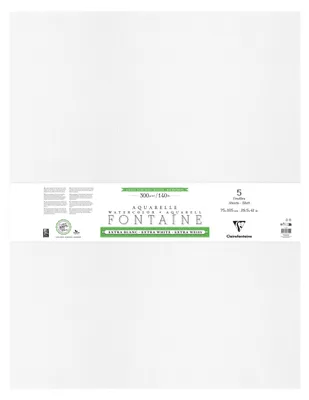 Produktbild von Clairefontaine Fontaine Extraweiß Torchon/rau, Pkg 5 Bogen 75x105cm 300g 976095C