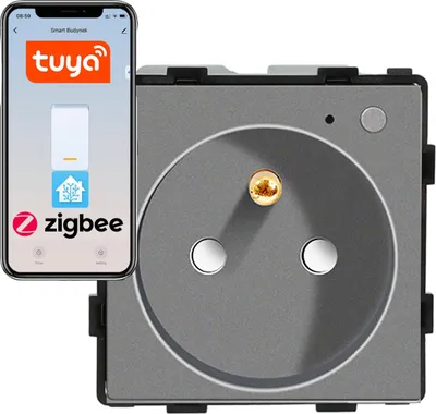 Image de module de prise 230V ZigBee gris avec broche