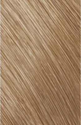 Obrázok produktu pre Goldwell Topchic New Grey Tube 9N@BP 60ml