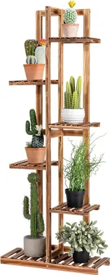 A wooden plant stand with various potted plants.