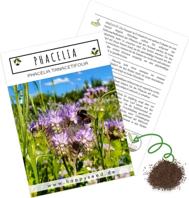 Produktbild von Phacelia Samen Bienenfreund (Phacelia tanacetifolia) als ideale Beimischung für eine bunte Bienenweide - Der Liebling für Bienen & Schmetterlinge