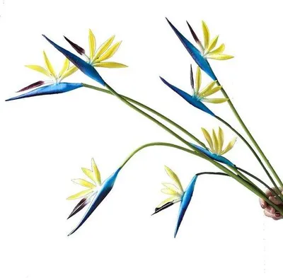Immagine prodotto di Set di fiori artificiali "Uccello del paradiso" in blu oceano, 8 pezzi, decorativo