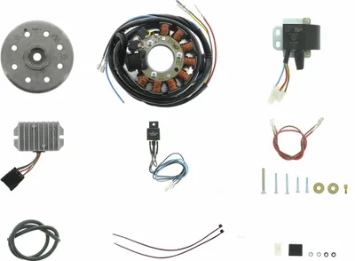 Obrázok produktu pre Magnetický zapaľovací systém 12V 180W s integrovaným plne elektronickým zapaľovaním, vhodný pre ES175/250/300 -/1/2, ETS250, TS250, 4-rýchlostný