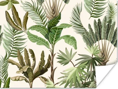 Produktbild von MuchoWow® Poster Dschungel - Palme - Bananenstaude - Kinder - Natur - Pflanzen 120x90 cm - Wandbild