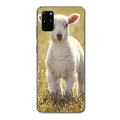 Produktbild von MuchoWow® Handyhülle Schutzhülle Hülle für Samsung Galaxy S20 Plus Lamm - Gras - Sonne Silikon Softcase Handy Hülle - Hartschale