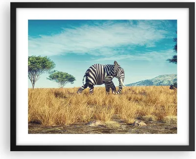 Produktbild von Gerahmtes Poster - Schwarzer Rahmen - Surreal Elefant Rippen - 50x40 cm - Wand Bild - Wanddeko - Wandbilder - Kunstposter - Wandposter - Bilderrahmen - Bilder - Kunstdruck - P2BAA50x40-4717