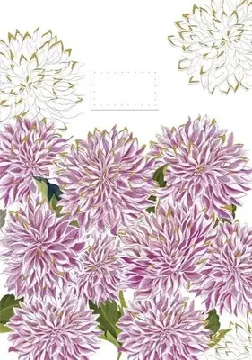 Image de Carte B6 + enveloppe « Anniversaire » à fleurs violettes - Turnowsky