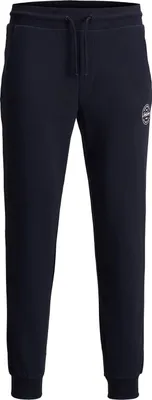 Produktbild von Jack & Jones 12165322, Joggers, Erwachsener, Blau, M, Baumwolle, Nicht bleichen