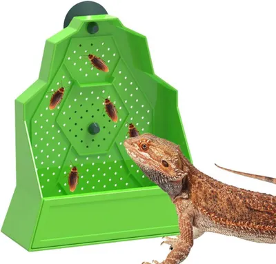 Produktbild von Futterstation für Reptilien mit Saugnapf, ausbruchsicher, Wandmontage, für Eidechsen