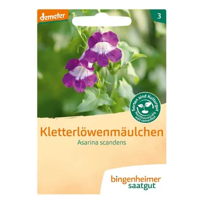 Produktbild von Kletterlöwenmäulchen - Asarina Scandens