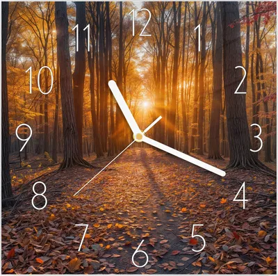 Produktbild von Wanduhr aus Glas mit Motiv Sonnenuntergang Wald- 30 x 30 cm - inkl. Aufhängesystem