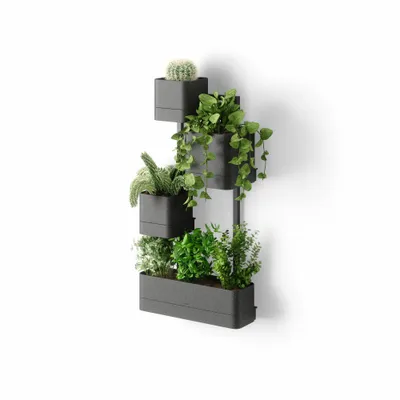 A vertical wall-mounted planter with multiple levels, holding various plants including a cactus.