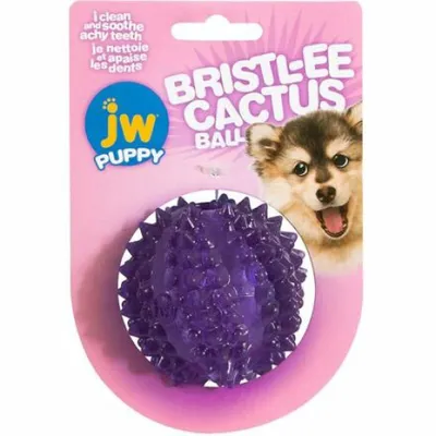 Obrázek produktu pro JW Puppy - Bristl-ee Cactus Ball
