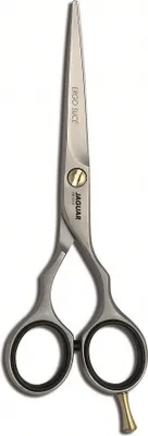 Image de Jaguar Pre Style Ergo Slice 5,5