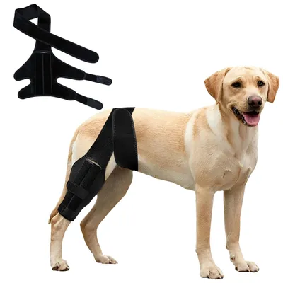 Immagine prodotto di Ortecca per il ginocchio per cani con lesioni del legamento crociato anteriore