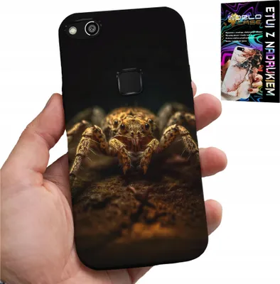 Image de Étui Pour Huawei P10 Lite - Spider Bird Spiders Arachnid Case