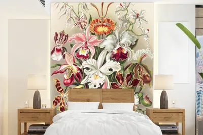 Produktbild von MuchoWow® Fototapete für Wohnzimmer oder Schlafzimmer Wandtapete Vinyl Motivtapete Blumen - Ernst Haeckel - Jahrgang - Orchidee - 205x280 cm - Wandbild