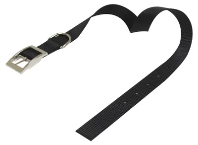 Productafbeelding van Nylon hondenhalsband 25 x 650 mm, zwart